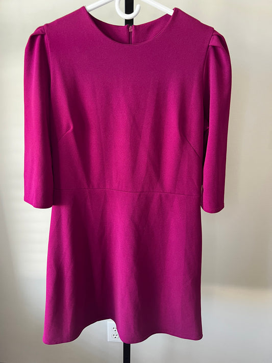 Magenta Dress- Sz L